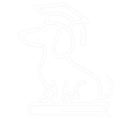BaPsy Academy Logo